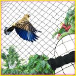 Keenso filet anti - oiseaux filet anti - brouillard noir anti - oiseaux 15x3m emp�che la capture des ...