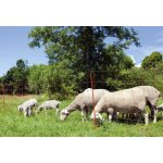 Kerbl - filet pour moutons ovinet lectrifiable - longueur 50 m - hauteur 90 cm - 14 piquets