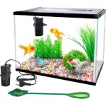 Kit aquarium rectangulaire 16l avec filtre gravier et �puisette