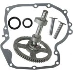 Kit arbre � cames briggs & stratton 793880 joint carter inclus compatible moteur 4 temps