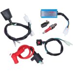 Kit de bobine dallumage bougie dallumage stable et fiable pour 50 cc 70 cc 110 cc 125 cc 140 cc 150 cc ...