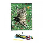 Kit canevas 18 x 14 cm margot canevas mod�le chat dans le champ