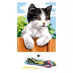 Kit canevas 18 x 14 cm margot canevas modle chat noir et blanc