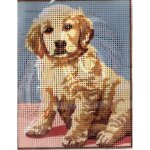 Kit canevas chiot golden retriever 14 x 18 cm p�n�lope blanc petits trous