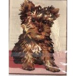 Kit canevas chiot yorkshire 14 x 18 cm pnlope blanc petits trous