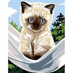 Kit canevas complet le petit chat siamois 14 x 18 cm