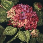 Dimensions kit canevas hortensia en fleur