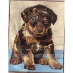 Kit canevas - p�n�lope - beauceron - 14 x 18 cm - toile imprim�e - aiguille et fil inclus
