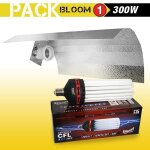 Kit lampe cfl 300w floraison 1