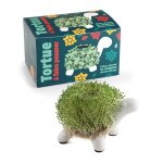 Kit de culture cresson tortue - nature et decouvertes - tortue en c�ramique - 10g de graines de cresson ...