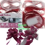 Kit de dcoration mariage - unique - voiture - 10 pices - tulle blanc - noeuds rouges