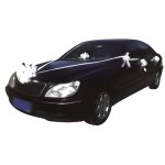 Kit de d�coration de mariage pour voiture