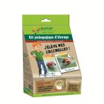 Kit délevage - jélève mes coccinelles - pédagogique - 2 espèces - 50 larves - intérieur Kit délevage - jélève mes coccinelles - pédagogique - 2 espèces - 50 larves - intérieur