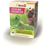 Kit d�levage de coccinelles - larves incluses
