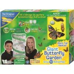 Kit d�levage de papillons g�ant - bon pour chenilles