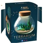 Kit terrarium led graine