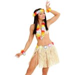 Kit hawaenne - naturel - jupe en raphia collier serre - tte et 2 bracelets - femme adulte - intrieur ...
