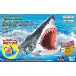 Kit de mod�lisme - bandai - grand requin blanc - int�rieur - enfant - mixte
