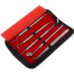 Kit de nettoyage dentaire professionnel - delaman - 5 outils en acier inoxydable - autoclavable et strilisabl ...