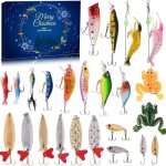 Kit de p�che de no�l cassettecalendrier de lavent 2023 fishing deluxe poisson pr�dateur calendrier de ...