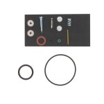 Kit de réparation carburateur adaptable briggs & stratton pour moteurs 131700 à carburateur walbro Kit de réparation carburateur adaptable briggs & stratton pour moteurs 131700 à carburateur walbro