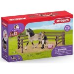 Kit de soin pour chevaux andaloux, coffret schleich avec 9 éléments dont 1 cheval schleich inclus, coffret ... Kit de soin pour chevaux andaloux, coffret schleich avec 9 éléments dont 1 cheval schleich inclus, coffret ...