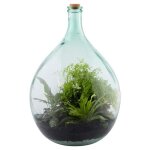 Kit terrarium plante complet diy 55l