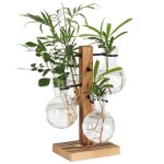 Kit de terrariums pour plantes support de pot de fleurs hydroponiques de bureau station de propagation ...