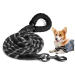 Laisse chien - non spcifi - laisse dentranement - nylon rsistant - poigne rembourre - rflchissante ...