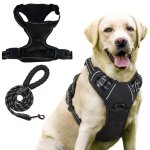 Laisse pour chien r�fl�chissante anti - traction avec harnais int�gr� en polyester noir taille m