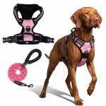Laisse pour chien r�fl�chissante anti - traction avec harnais int�gr� en polyester rose taille l