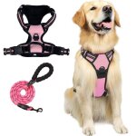 Laisse pour chien r�fl�chissante anti - traction avec harnais int�gr� en polyester rose taille m