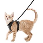 Laisse et harnais - jormftte - noir - réglable - pour petit chat - nylon robuste Laisse et harnais - jormftte - noir - réglable - pour petit chat - nylon robuste