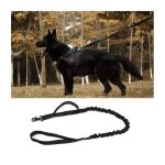 Laisse tactique pour chien ultra r�sistante ? nylon militaire renforc� chiens moyens et grands entra�nement ...