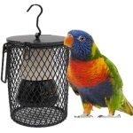 Lampe chauffante pour animaux lampe chauffante en c�ramique 100w pour hamsters l�zards lapins perroquets ...