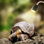 Lampe tortue terrestre chauffante reptiles pour aquarium clairages 25w uva uvb avec base longue 360 ...