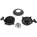 Lanceur briggs et stratton 493295 - 497598