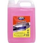Lave - glace et anti - insectes pour voiture - auto pratic - 5l