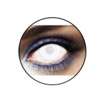 Lentilles blanches - (sans correction) - 1 jour