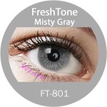 Lentilles de contact de couleur misty gray 1tons 12 mois sans correction Lentilles de contact de couleur misty gray 1tons 12 mois sans correction