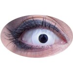 Lentilles de contact fantaisie - blanc - diamètre 14. 2 mm - utilisation unique - mixte Lentilles de contact fantaisie - blanc - diamètre 14. 2 mm - utilisation unique - mixte