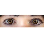 Lentilles de contact - twilight - loup - garou - mixte - adulte - fantaisie
