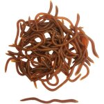 Leurre souple de p�che de 16 po / 33 po / 39 po imitation ver de terre ver de vase r�aliste leurre souple ...