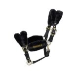 Licol pour cheval mouton kentucky - black - cob