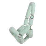 Licol pour cheval qhp alaska - vert menthe - shetland