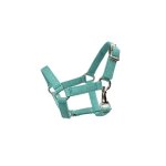 Licol pour hobby horse my hobby horse