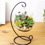 Lio vase en verre suspendu grand terrarium avec cadre pour plantes  air plantes succulentes en stock ...