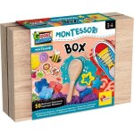 Lisciani - montessori - 50 exp�riences - mat�riel complet - activit�s ludiques et p�dagogiques - reconditionn� ...