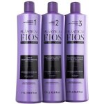 Lissage bresilien kit 3x100 ml cadiveu plastica dos fios