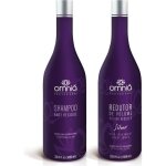 Lissage brsilien omnia silver organique sans formol 2x1 l